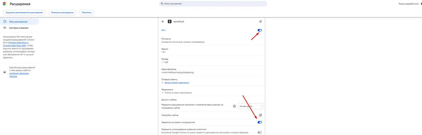 Настройки Speedhack: расширение включено и закреплено на панели инструментов